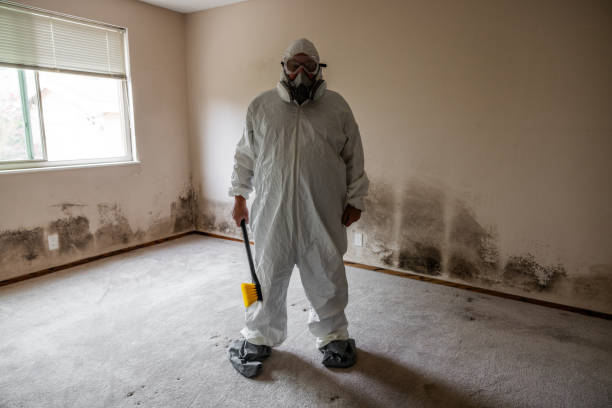 Best Emergency Mold Remediation in Kennewick, WA